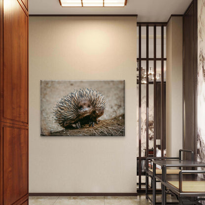 Echidna Australia Wild Bush Wall Art Decor 100% Australian Made