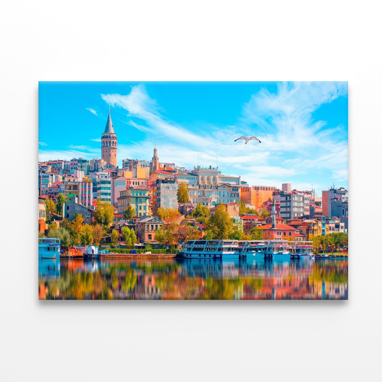 Galata Tower and Bridge, Istanbul  Wall Art Decor 100% Australian Made - Bella Home Decor