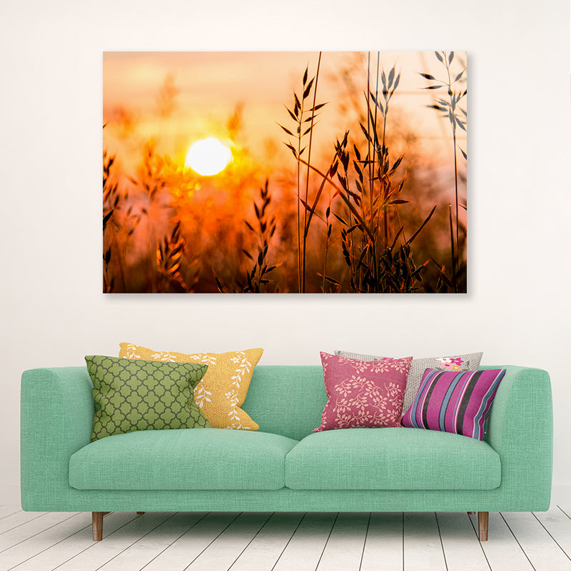 Close Up View of Red Sunrise Field Acrylic Glass Print Tempered Glass Wall Art 100% Made in Australia Ready to Hang