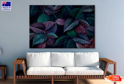 Bunch Of Leaves That Are Purple and Green Wall Art Decor 100% Australian Made