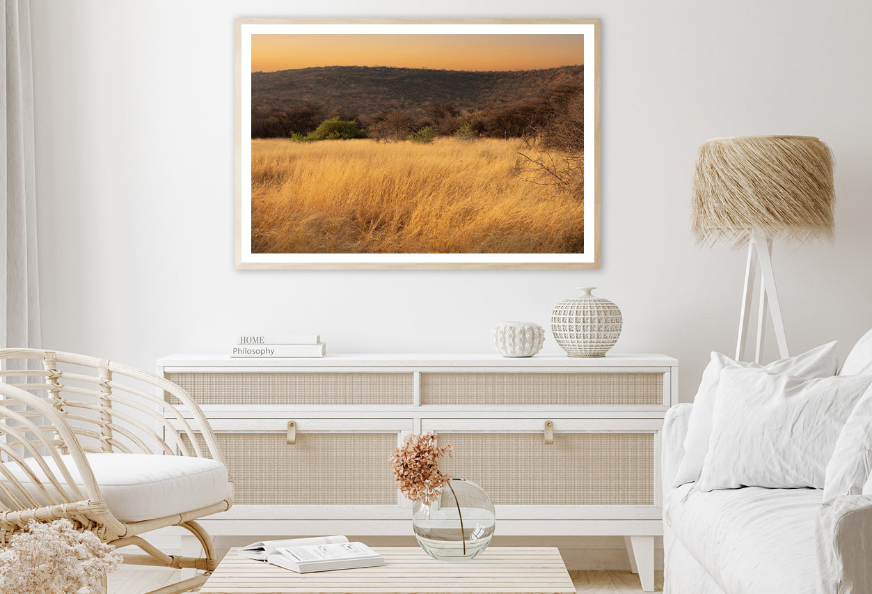 Grassland Glows Golden in the Morning in Namibia Home Decor Premium Quality Poster Print Choose Your Sizes