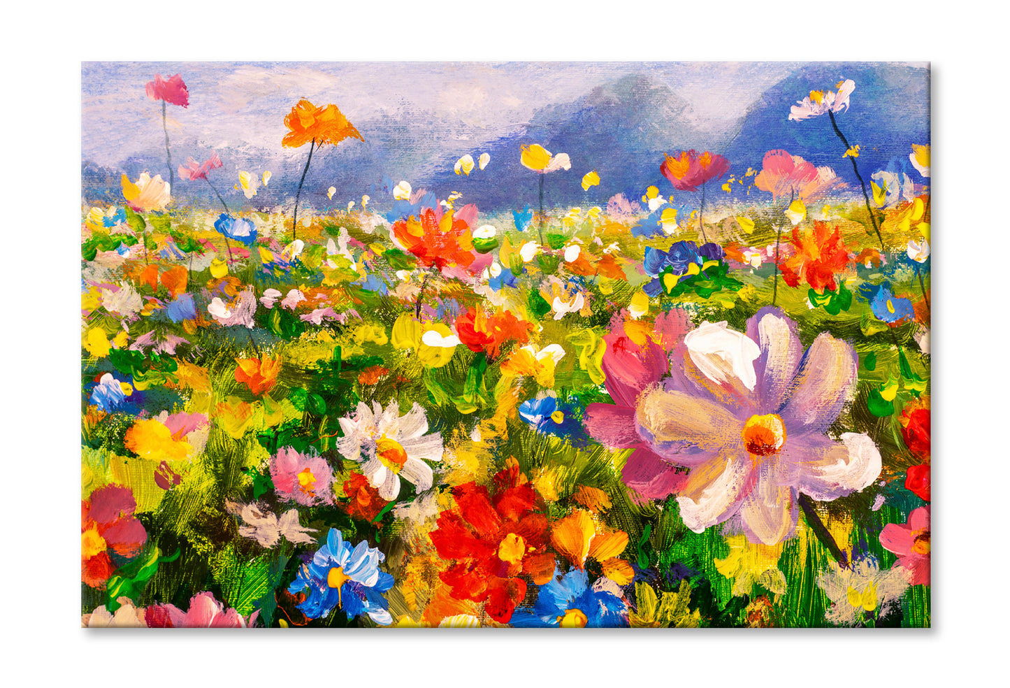 Landscape Colorful Flower Meadow Oil Painting Wall Art Limited Edition High Quality Print Stretched Canvas None