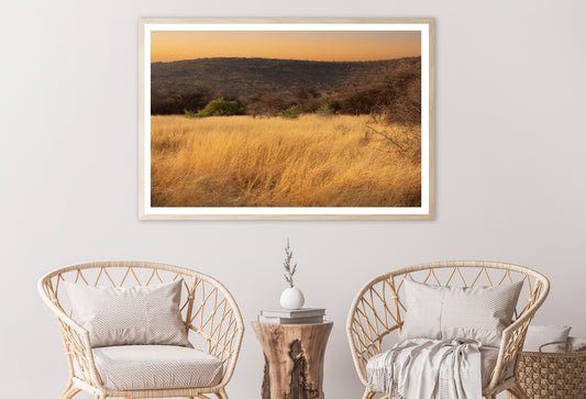 Grassland Glows Golden in the Morning in Namibia Home Decor Premium Quality Poster Print Choose Your Sizes