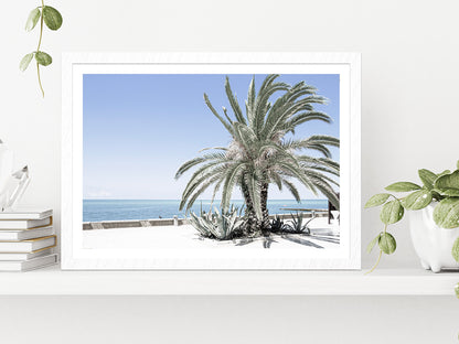 Palm Tree near Beach & Blue Sky Photograph Glass Framed Wall Art, Ready to Hang Quality Print With White Border White