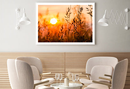 Close Up View of Red Sunrise Field Home Decor Premium Quality Poster Print Choose Your Sizes