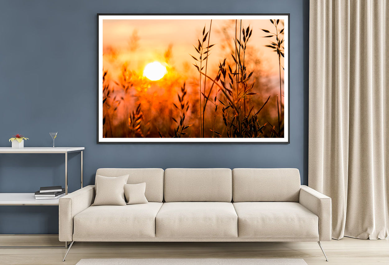 Close Up View of Red Sunrise Field Home Decor Premium Quality Poster Print Choose Your Sizes