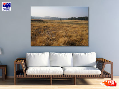 A Field Of Brown Grass with Trees in autumn Print 100% Australian Made