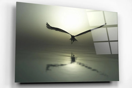 Eagle In Flight Acrylic Glass Print Tempered Glass Wall Art 100% Made in Australia Ready to Hang