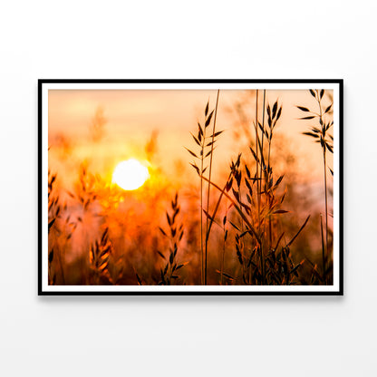 Close Up View of Red Sunrise Field Home Decor Premium Quality Poster Print Choose Your Sizes