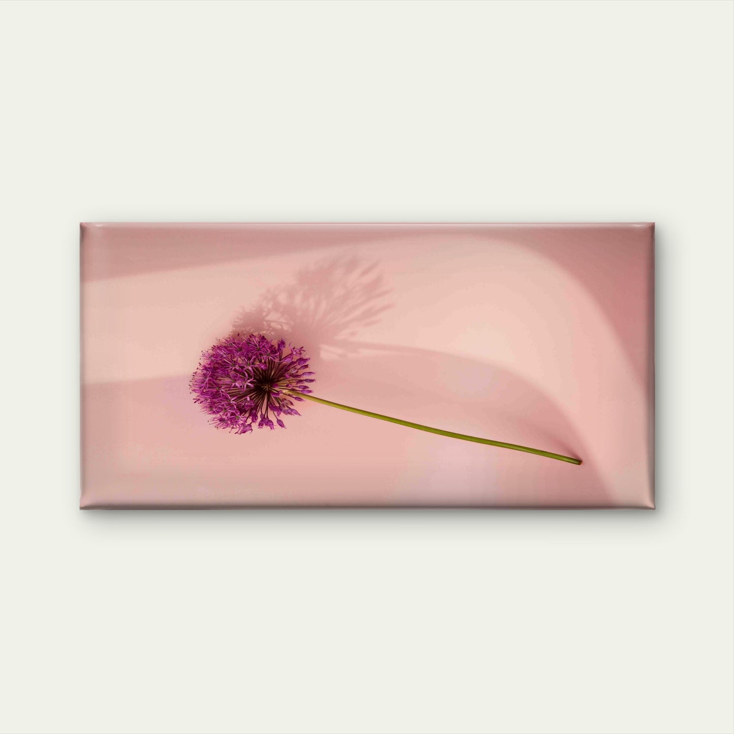 Single Allium Flower Wall Art Canvas Office Home Room Framed 120x60cm