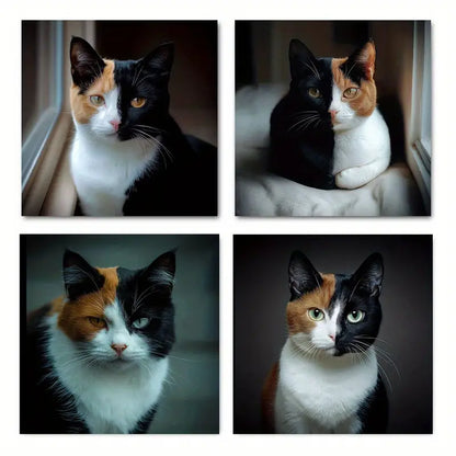 4pcs Black And White Fur Cat Wall Art Canvas Framed