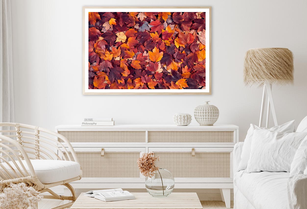 Autumn Leaves Closeup View Home Decor Premium Quality Poster Print Choose Your Sizes