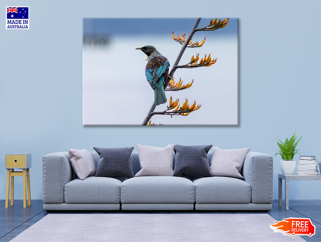 Tui Bird on New Zealand Flax Tree Print 100% Australian Made - Bella Home Decor