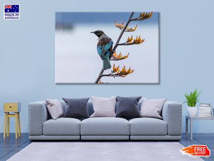 Tui Bird on New Zealand Flax Tree Print 100% Australian Made - Bella Home Decor