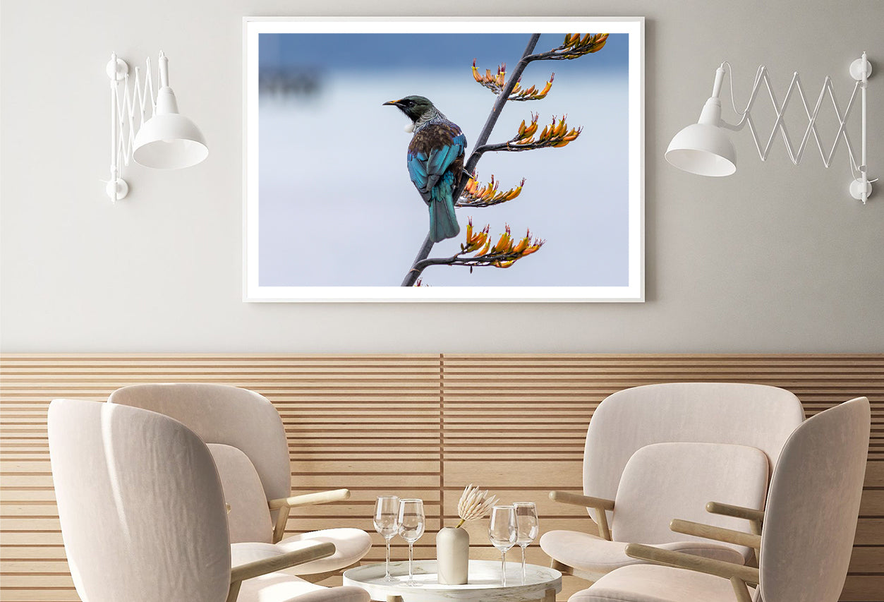 Tui Bird on New Zealand Flax Tree Home Decor Premium Quality Poster Print Choose Your Sizes - Bella Home Decor