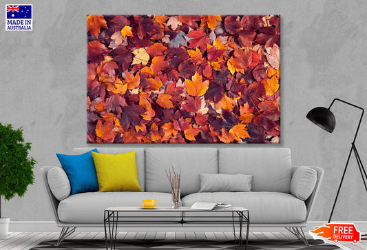 Autumn Leaves Closeup View Wall Art Decor 100% Australian Made