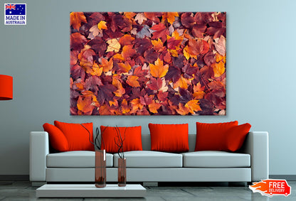 Autumn Leaves Closeup View Wall Art Decor 100% Australian Made - Bella Home Decor