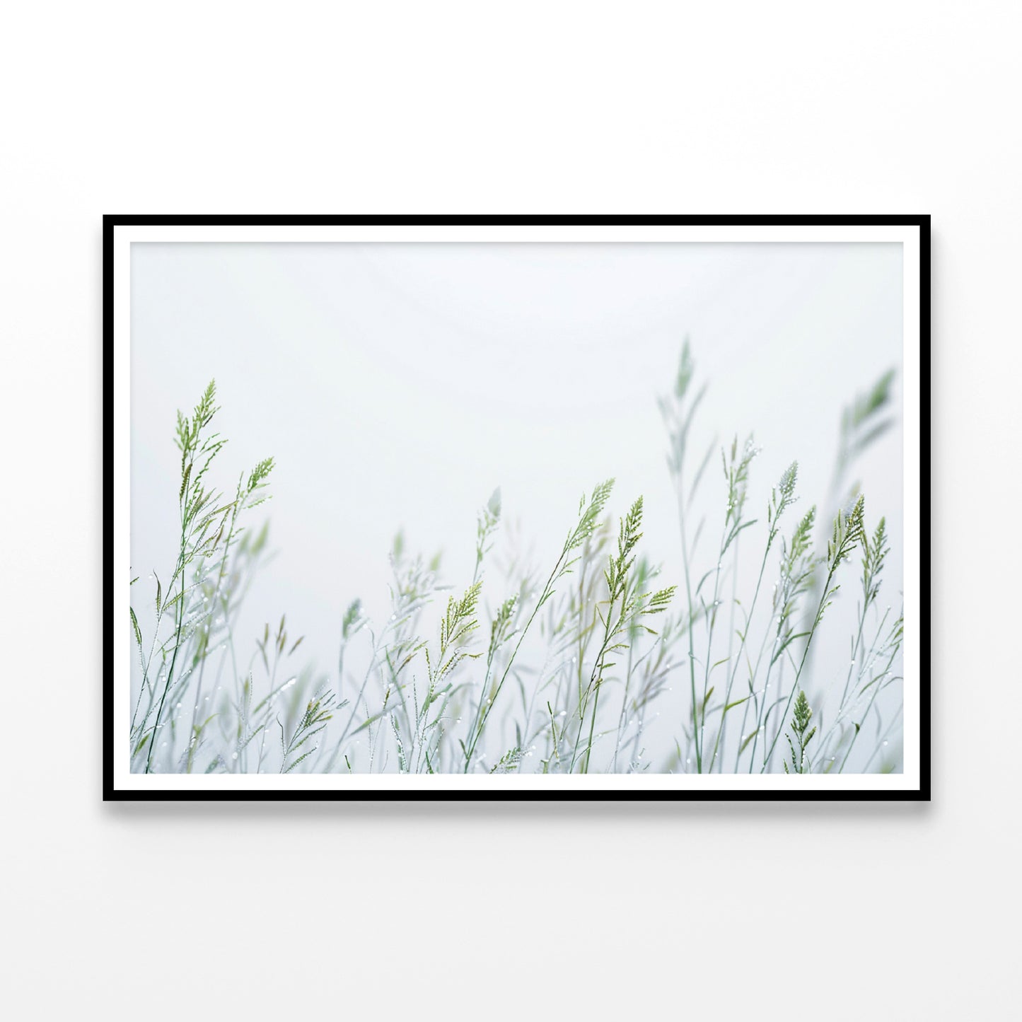 Group of Green Plants Field Home Decor Premium Quality Poster Print Choose Your Sizes - Bella Home Decor