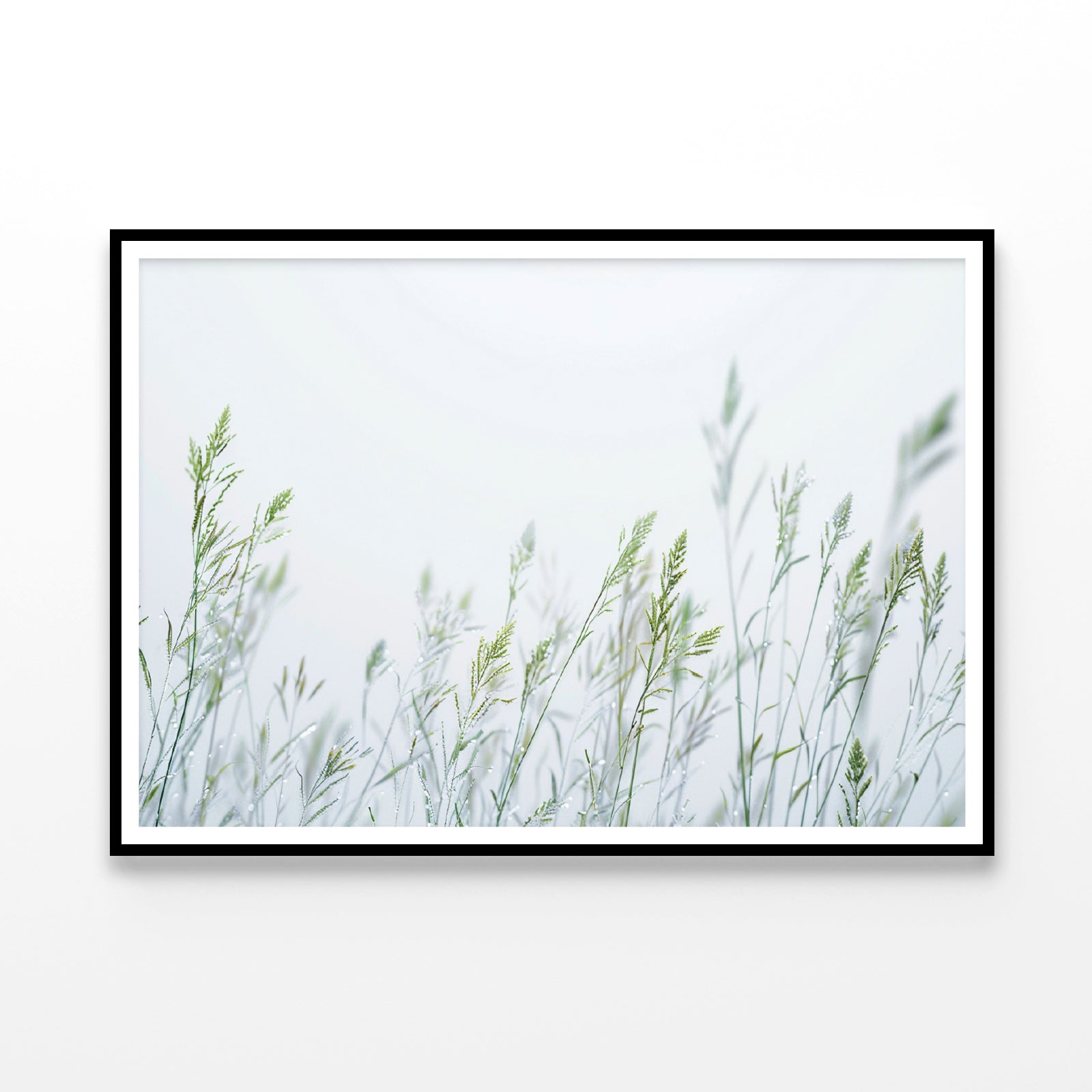 Group of Green Plants Field Home Decor Premium Quality Poster Print Choose Your Sizes - Bella Home Decor