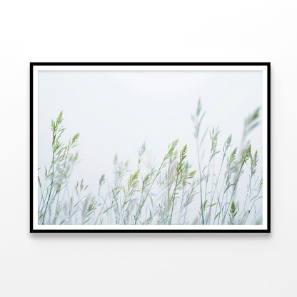 Group of Green Plants Field Home Decor Premium Quality Poster Print Choose Your Sizes - Bella Home Decor