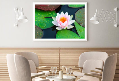 Pink Water Lily in A Pond with Green Leaves Home Decor Premium Quality Poster Print Choose Your Sizes