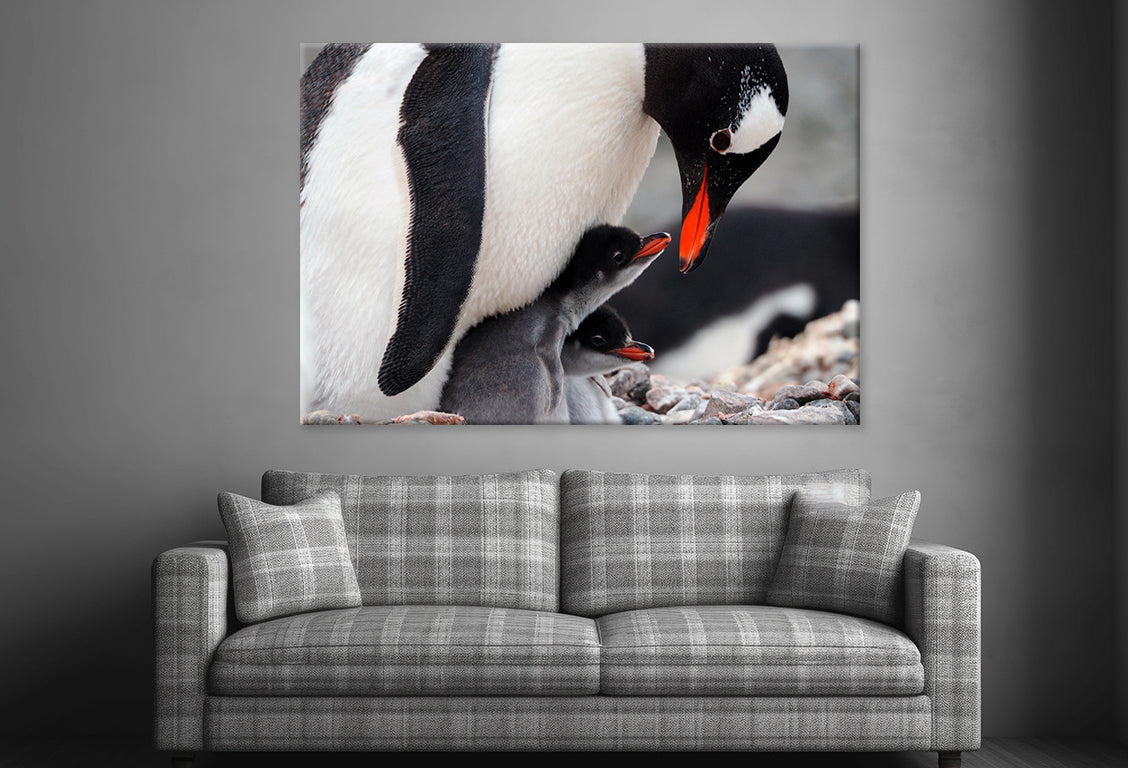 Caring Gentoo Penguin two chicks Wall Art Decor 100% Australian Made - Bella Home Decor