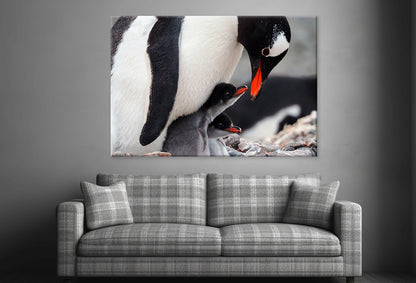 Caring Gentoo Penguin two chicks Wall Art Decor 100% Australian Made - Bella Home Decor