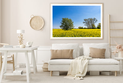 Yellow Canola Field with Trees Home Decor Premium Quality Poster Print Choose Your Sizes