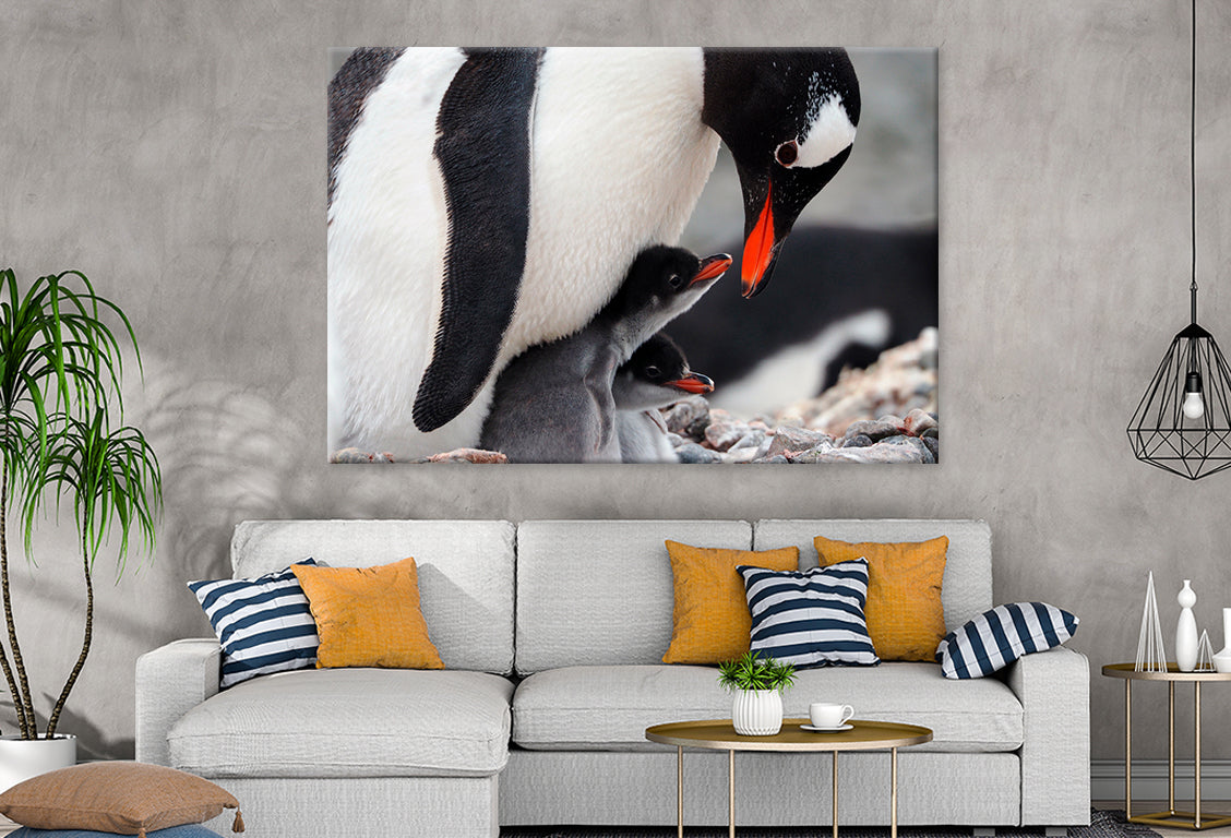 Caring Gentoo Penguin two chicks Wall Art Decor 100% Australian Made - Bella Home Decor