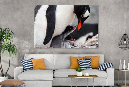 Caring Gentoo Penguin two chicks Wall Art Decor 100% Australian Made - Bella Home Decor