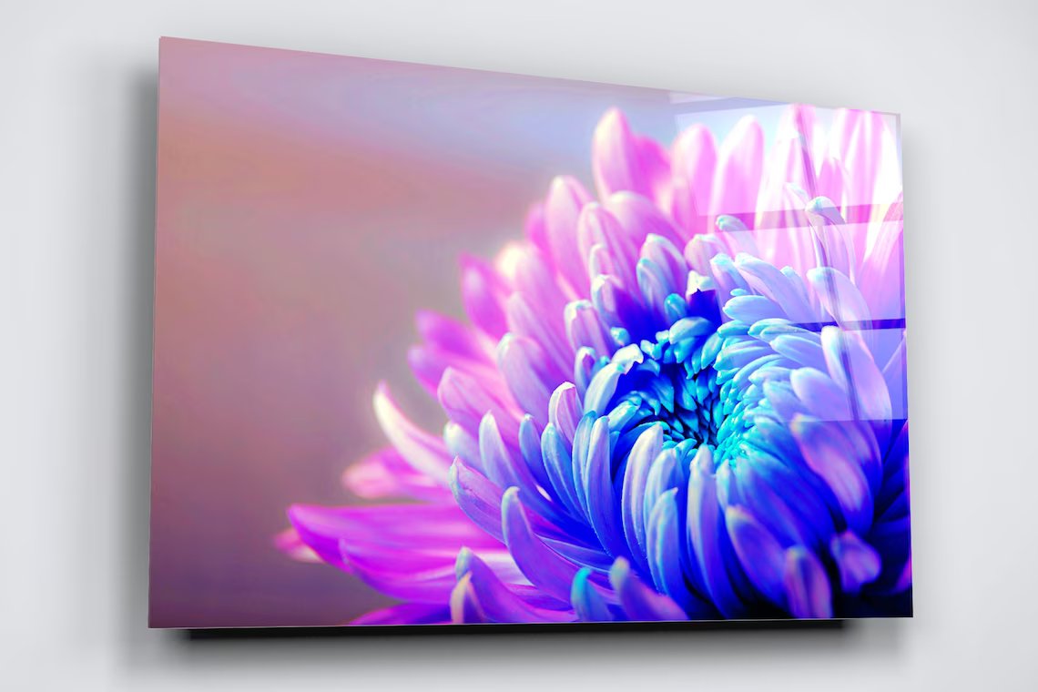 Chrysanthemum Flower Acrylic Glass Print Tempered Glass Wall Art 100% Made in Australia Ready to Hang