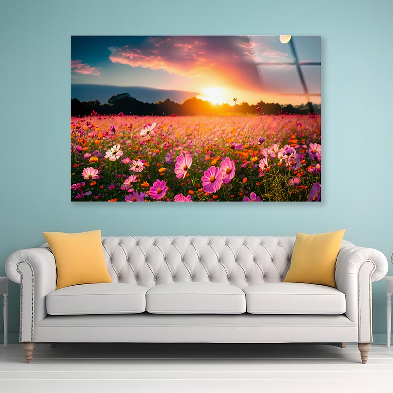 Beautiful and Amazing Cosmos Flower Field in Sunset Acrylic Glass Print Tempered Glass Wall Art 100% Made in Australia Ready to Hang