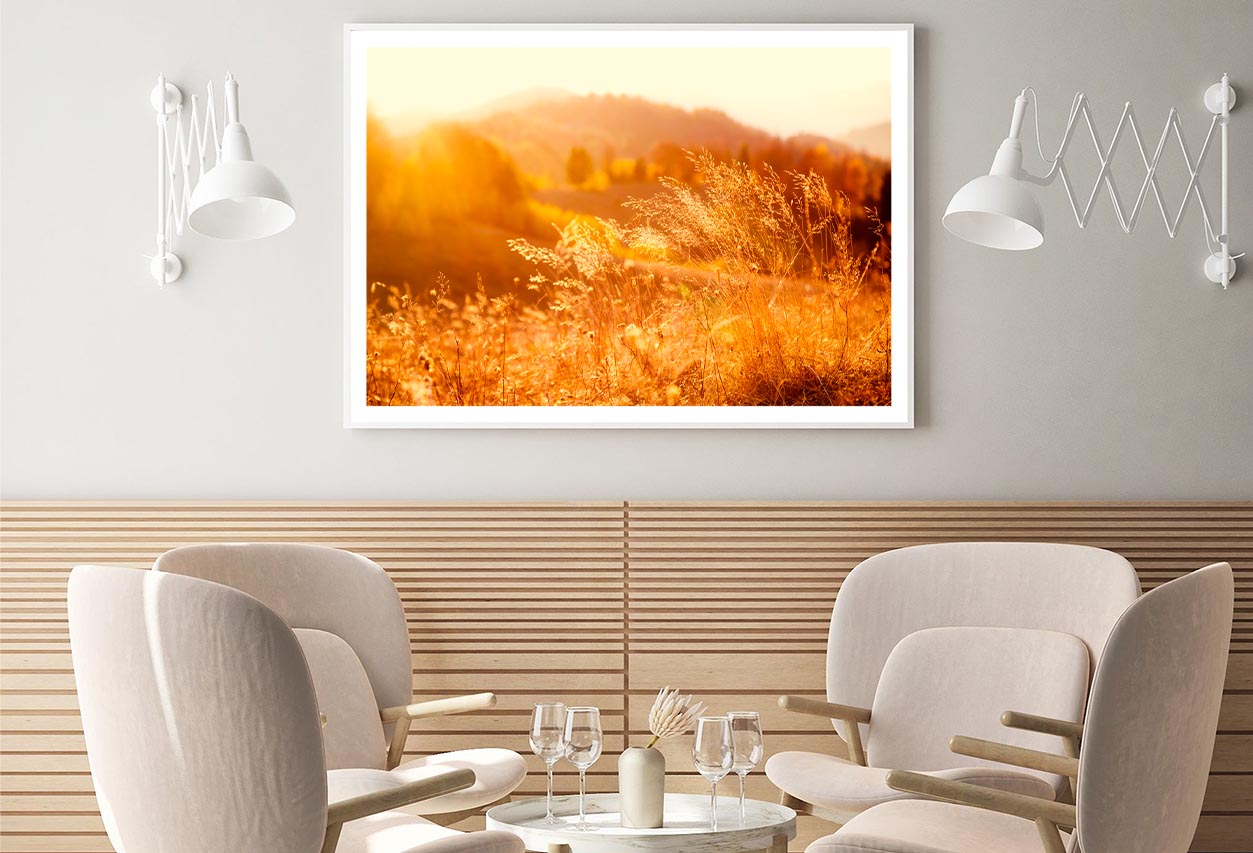 Field In the Sunlight Home Decor Premium Quality Poster Print Choose Your Sizes