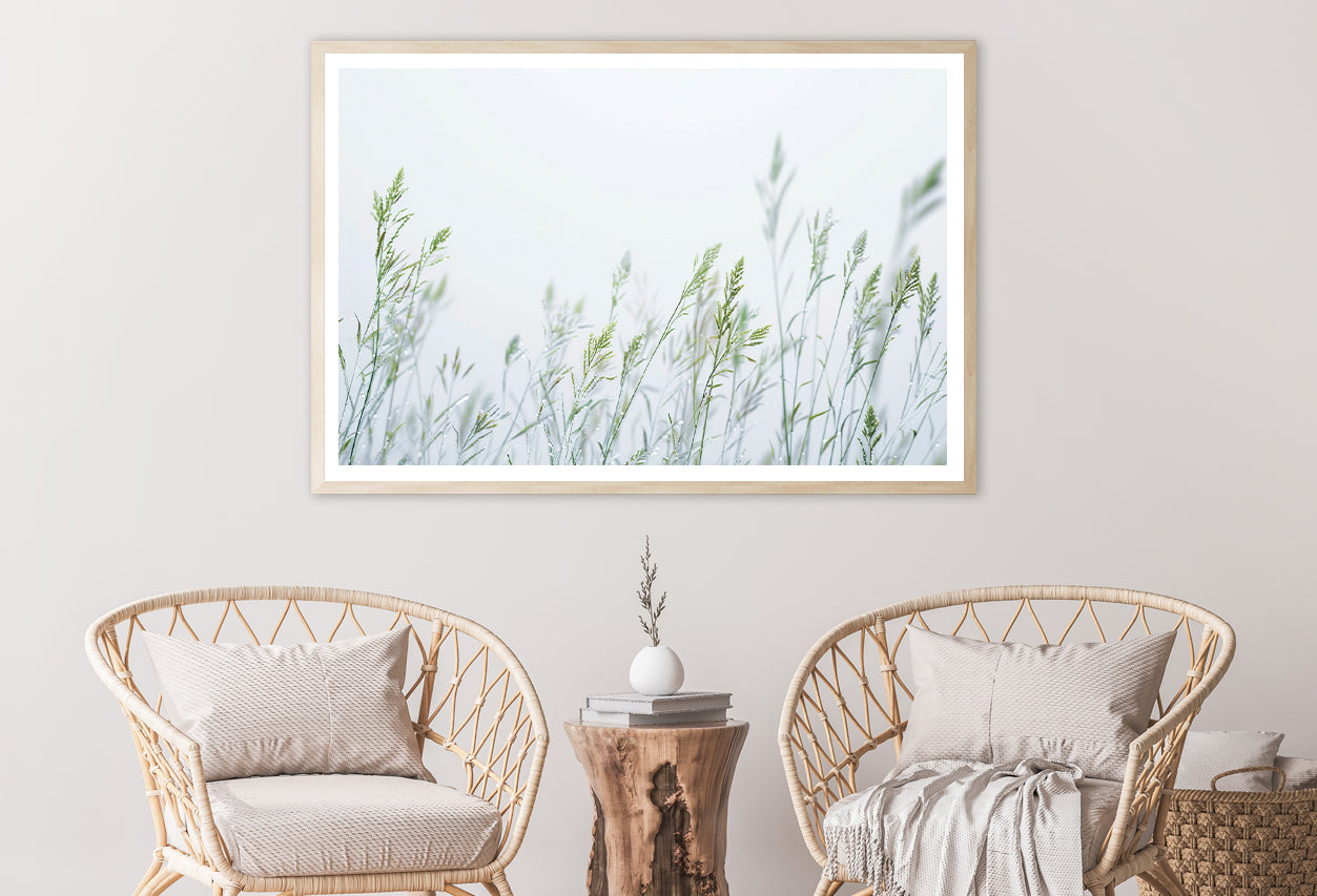 Group of Green Plants Field Home Decor Premium Quality Poster Print Choose Your Sizes - Bella Home Decor