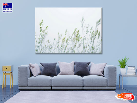 Group of Green Plants Field Print 100% Australian Made - Bella Home Decor