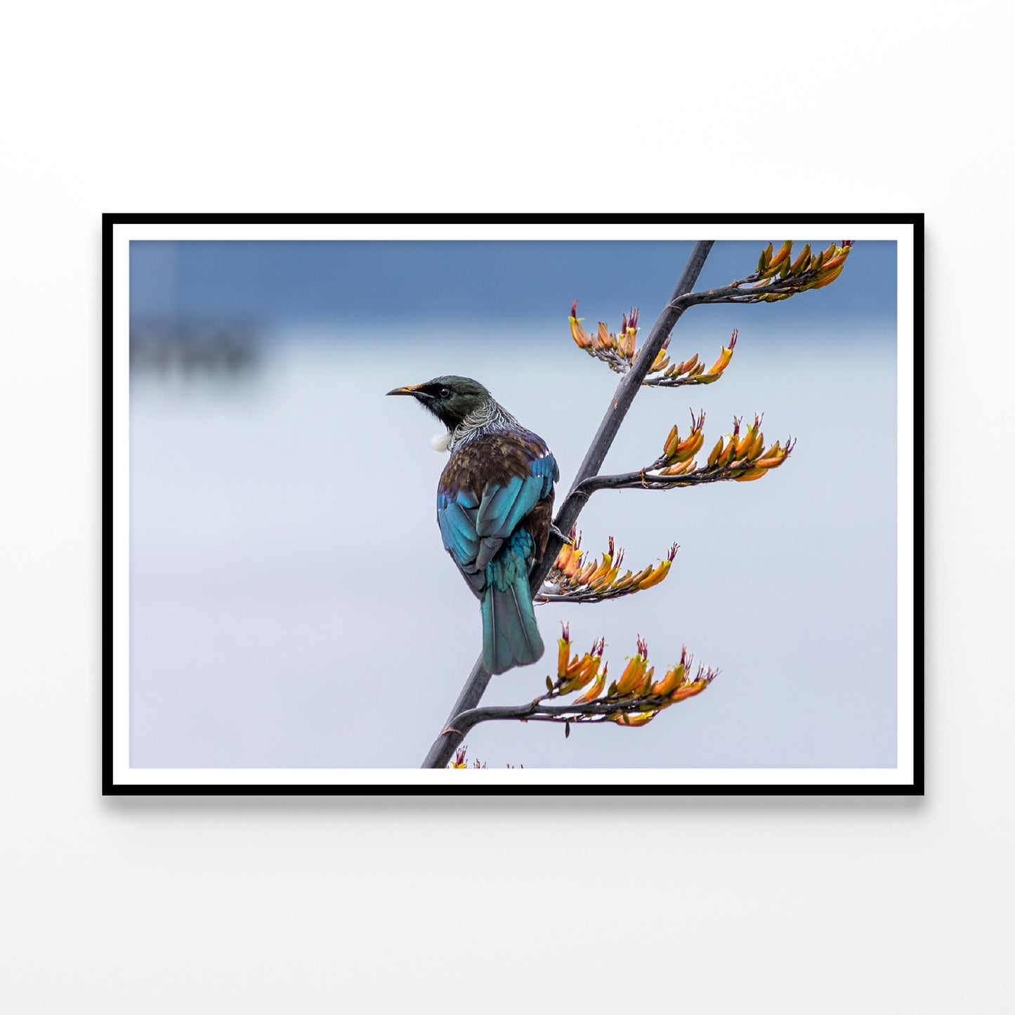 Tui Bird on New Zealand Flax Tree Home Decor Premium Quality Poster Print Choose Your Sizes - Bella Home Decor