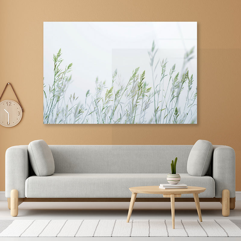 Group of Green Plants Field Acrylic Glass Print Tempered Glass Wall Art 100% Made in Australia Ready to Hang - Bella Home Decor