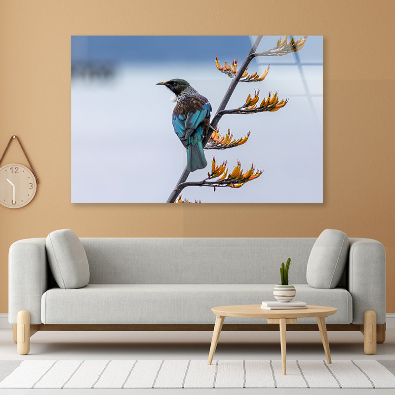 Tui Bird on New Zealand Flax Tree Acrylic Glass Print Tempered Glass Wall Art 100% Made in Australia Ready to Hang - Bella Home Decor