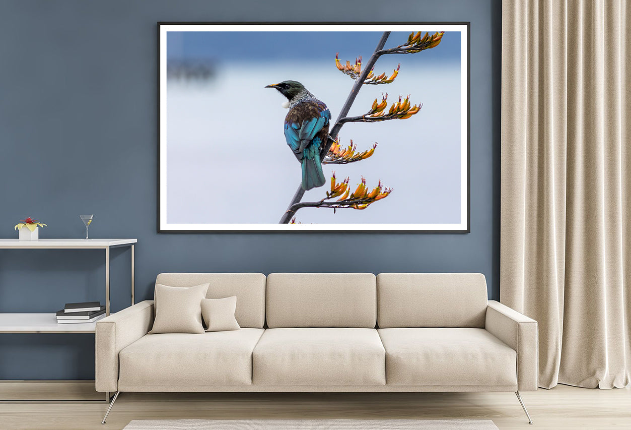 Tui Bird on New Zealand Flax Tree Home Decor Premium Quality Poster Print Choose Your Sizes - Bella Home Decor
