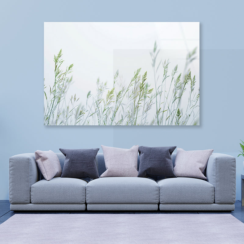 Group of Green Plants Field Acrylic Glass Print Tempered Glass Wall Art 100% Made in Australia Ready to Hang - Bella Home Decor