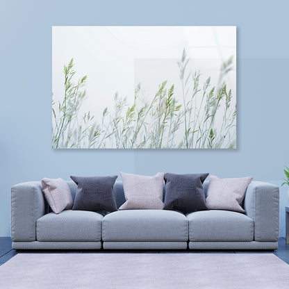 Group of Green Plants Field Acrylic Glass Print Tempered Glass Wall Art 100% Made in Australia Ready to Hang - Bella Home Decor