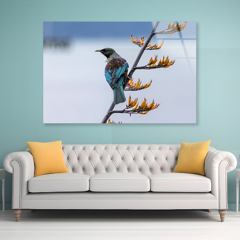 Tui Bird on New Zealand Flax Tree Acrylic Glass Print Tempered Glass Wall Art 100% Made in Australia Ready to Hang - Bella Home Decor