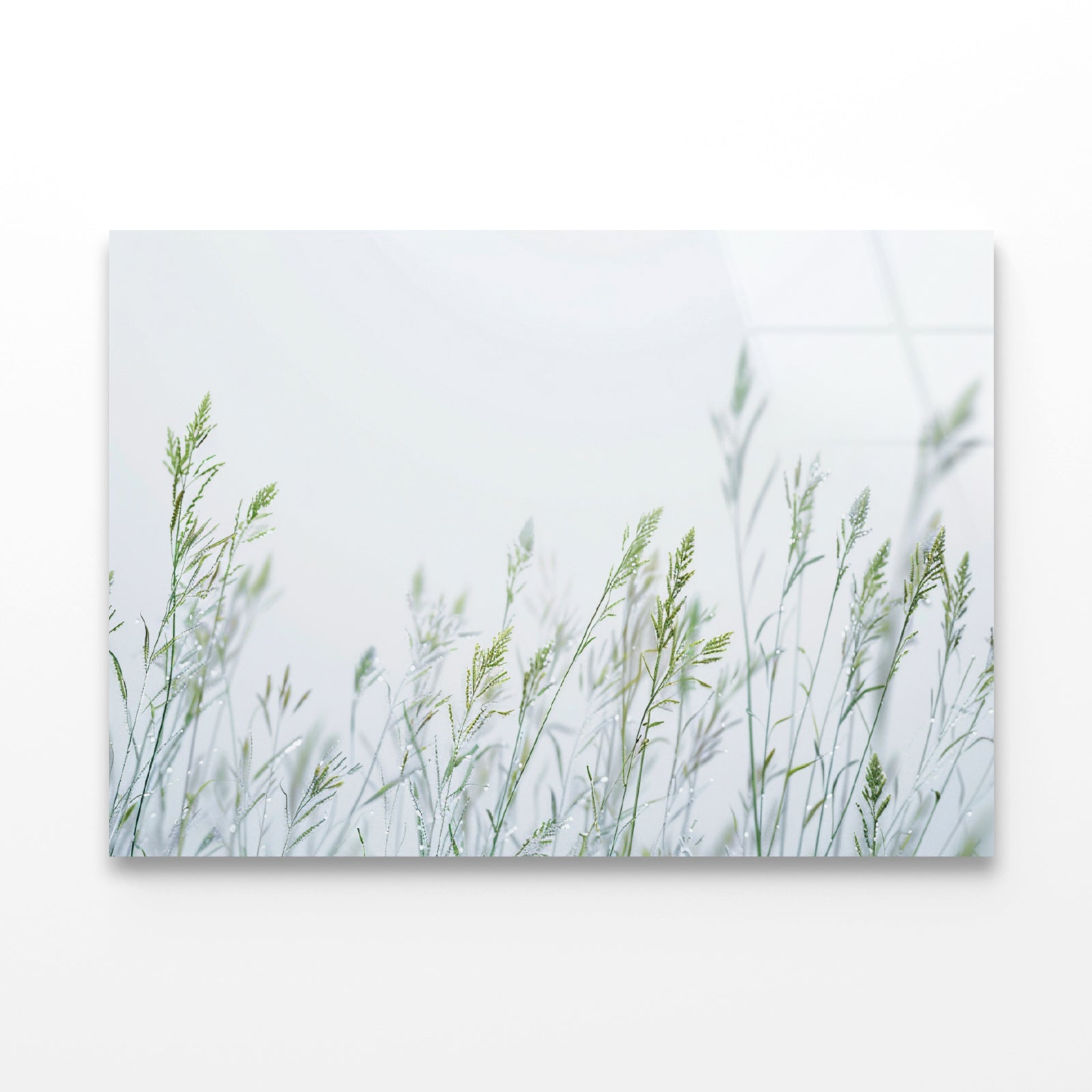Group of Green Plants Field Acrylic Glass Print Tempered Glass Wall Art 100% Made in Australia Ready to Hang - Bella Home Decor