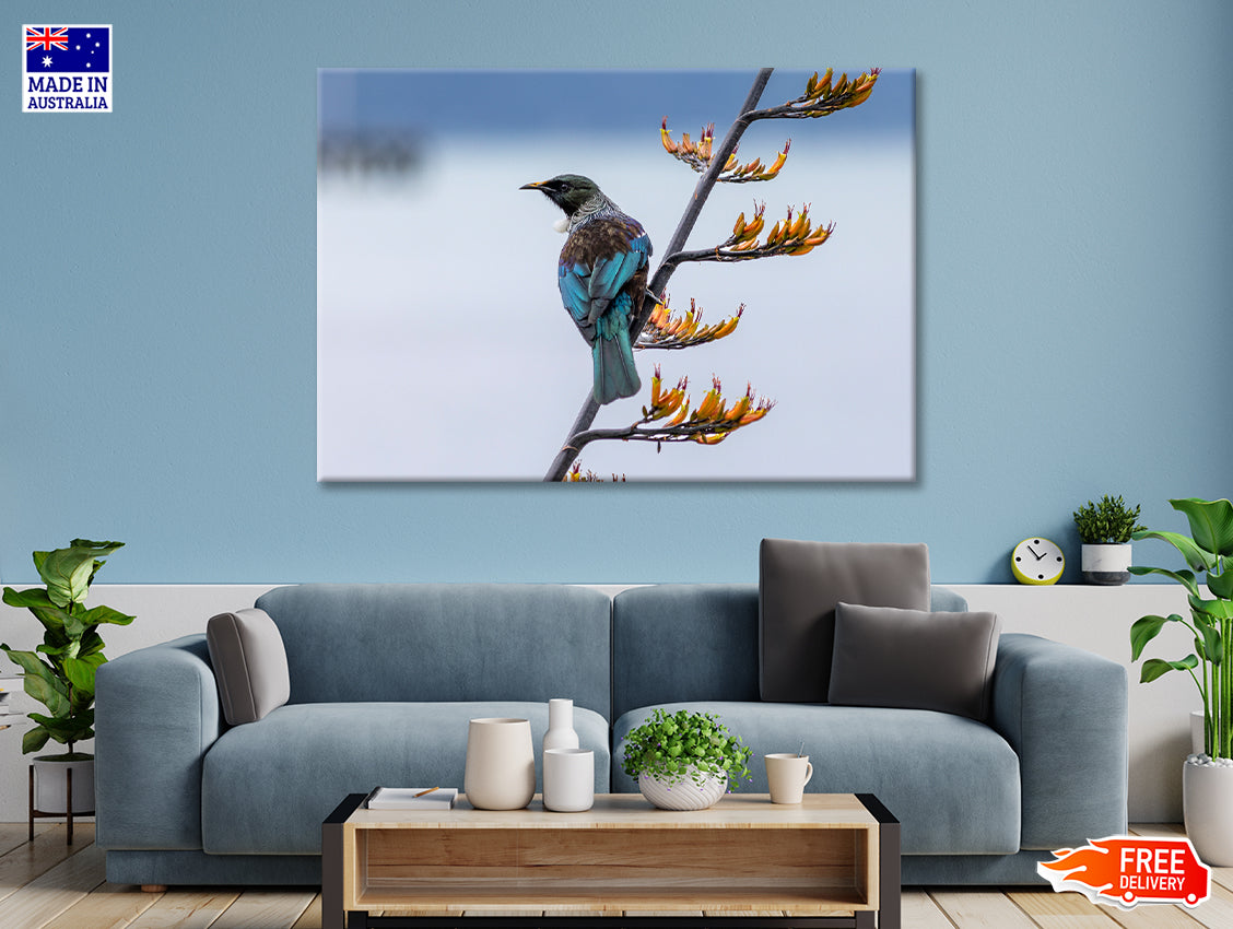Tui Bird on New Zealand Flax Tree Print 100% Australian Made - Bella Home Decor