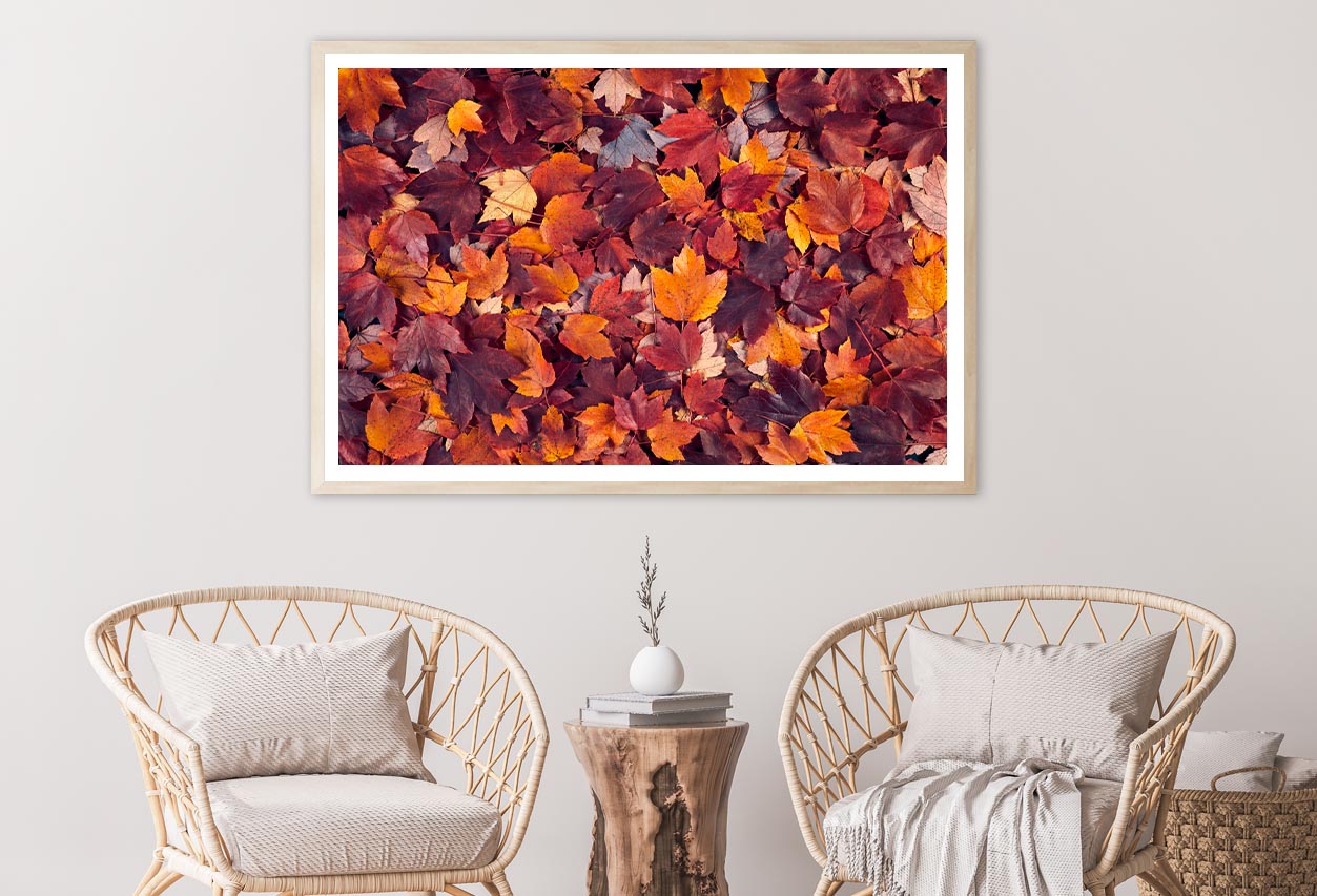 Autumn Leaves Closeup View Home Decor Premium Quality Poster Print Choose Your Sizes