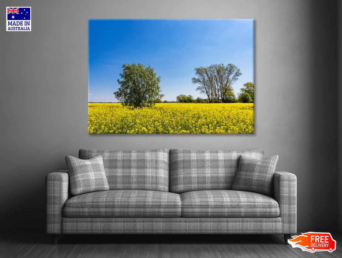 Yellow Canola Field with Trees Print 100% Australian Made