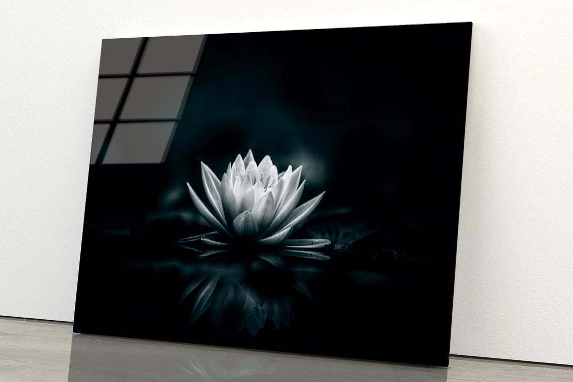 White Flower Is Sitting on A Black Surface Acrylic Glass Print Tempered Glass Wall Art 100% Made in Australia Ready to Hang