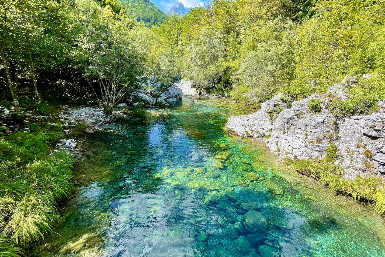 Beautiful River with Rocks and Trees Home Decor Premium Quality Poster Print Choose Your Sizes