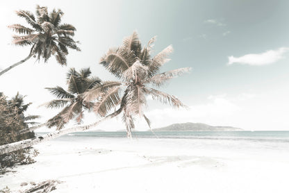 Palm Trees & Sandy Beach View Photograph Glass Framed Wall Art, Ready to Hang Quality Print