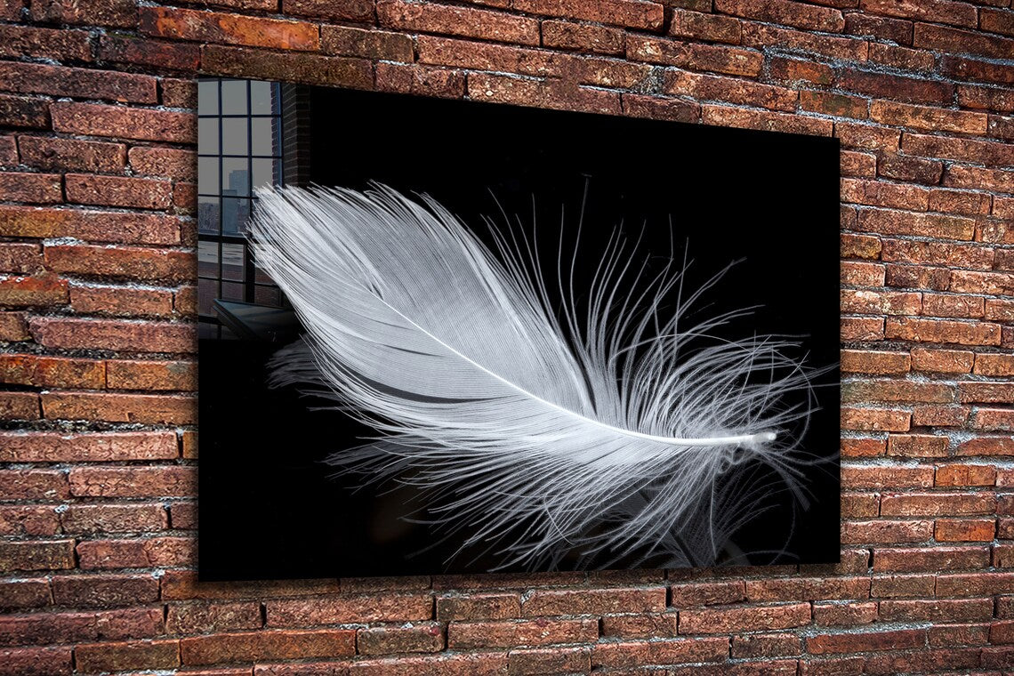 White Feather View UV Direct Aluminum Print Australian Made Quality